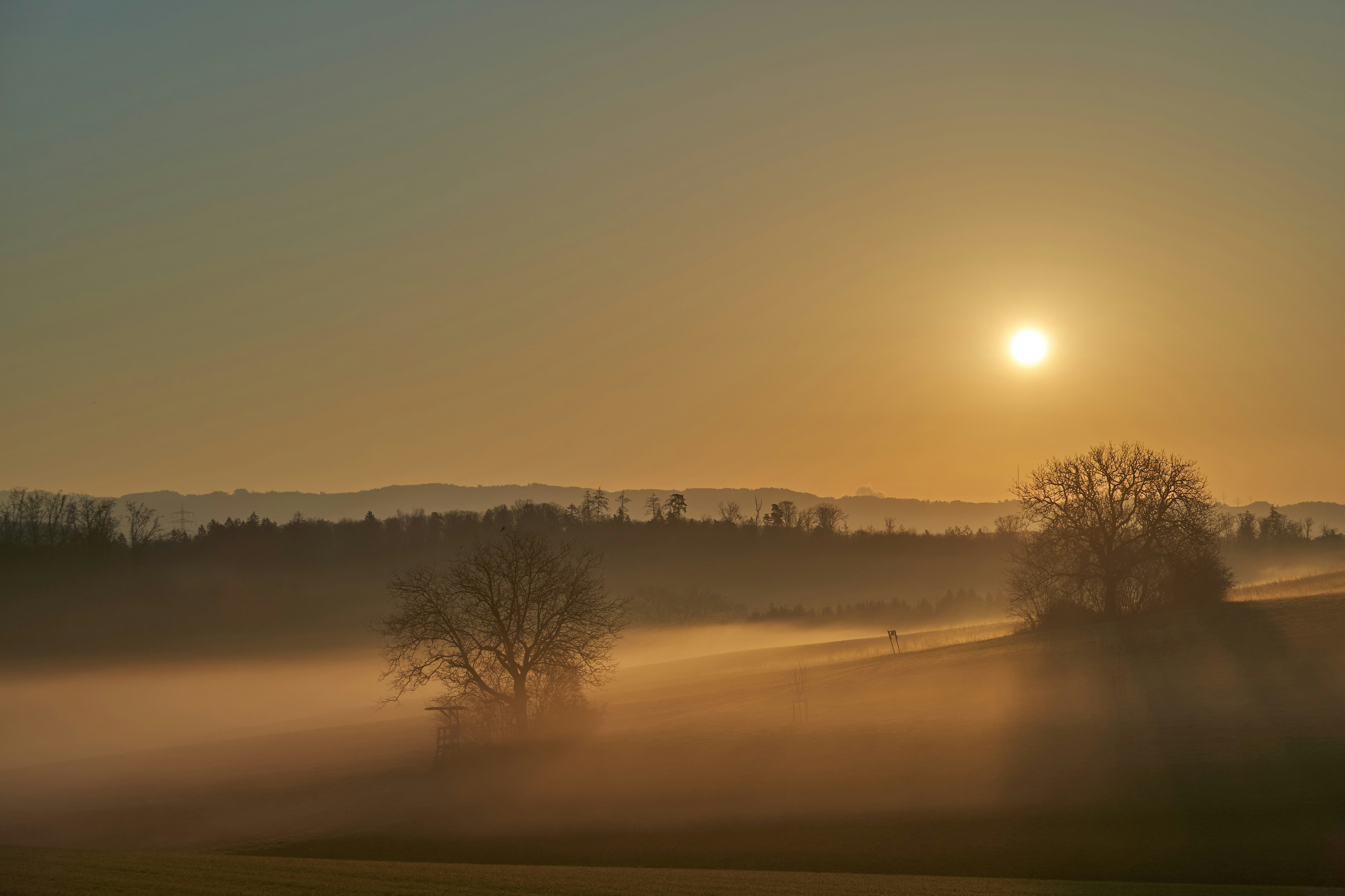 Photo by wolfgang_hasselmann