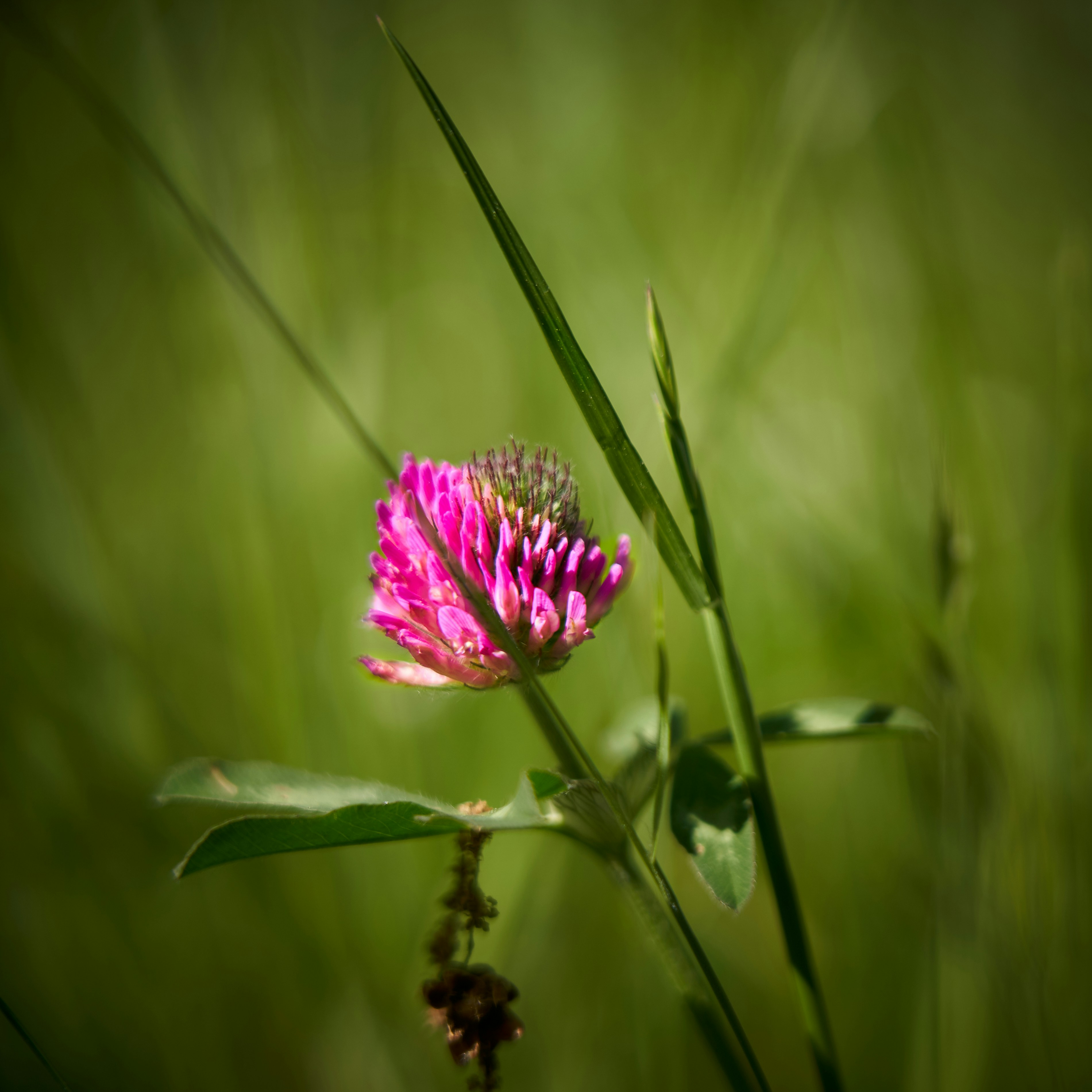 Photo by ingodoerrie