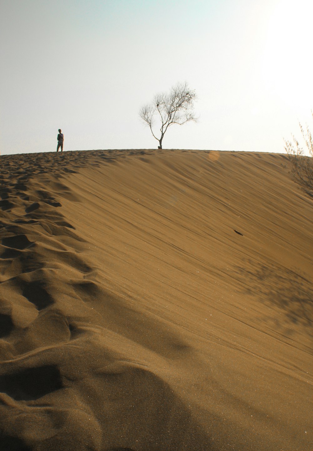 Person, die tagsüber auf braunem Sand spazieren geht