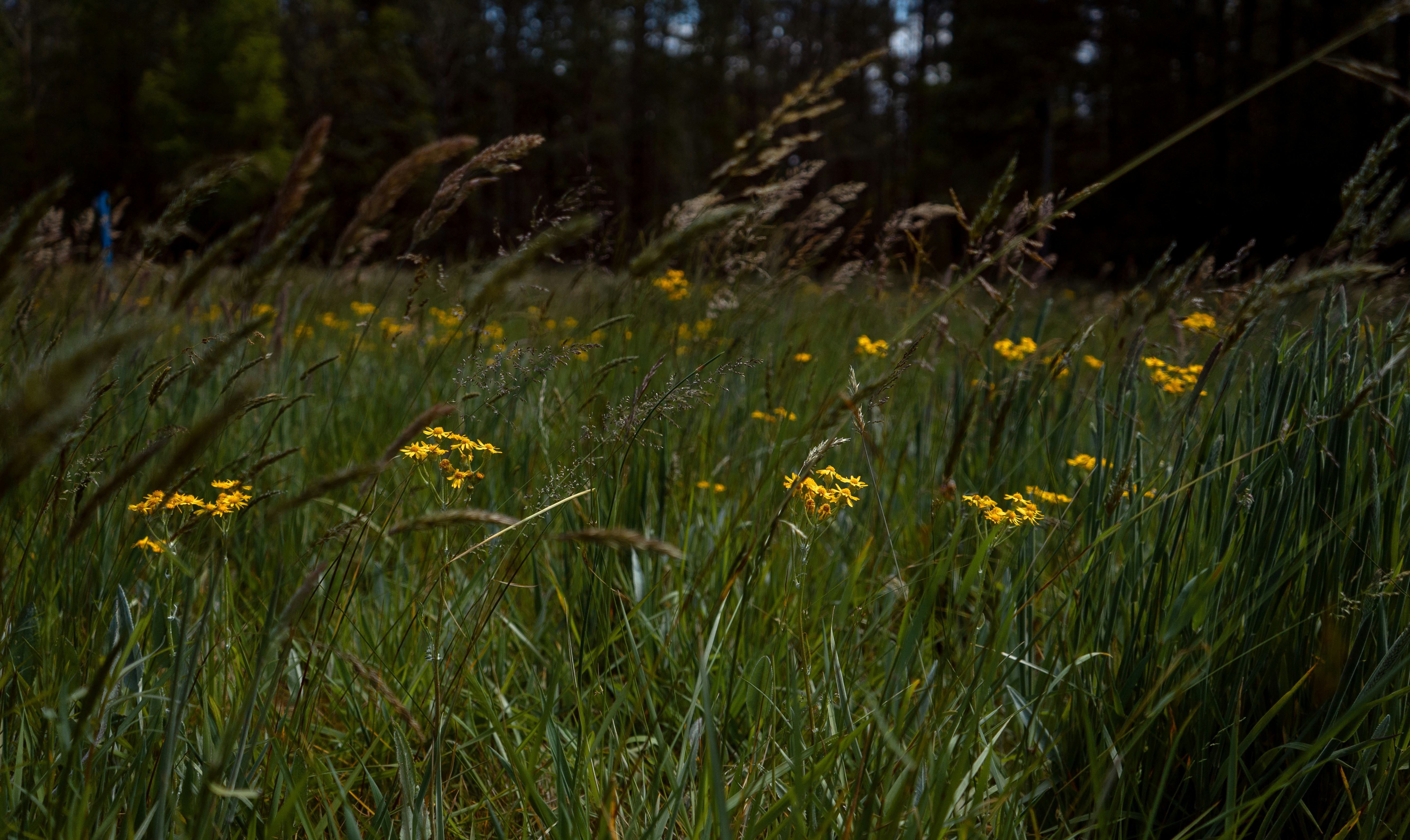 Photo by chrishardyphotography