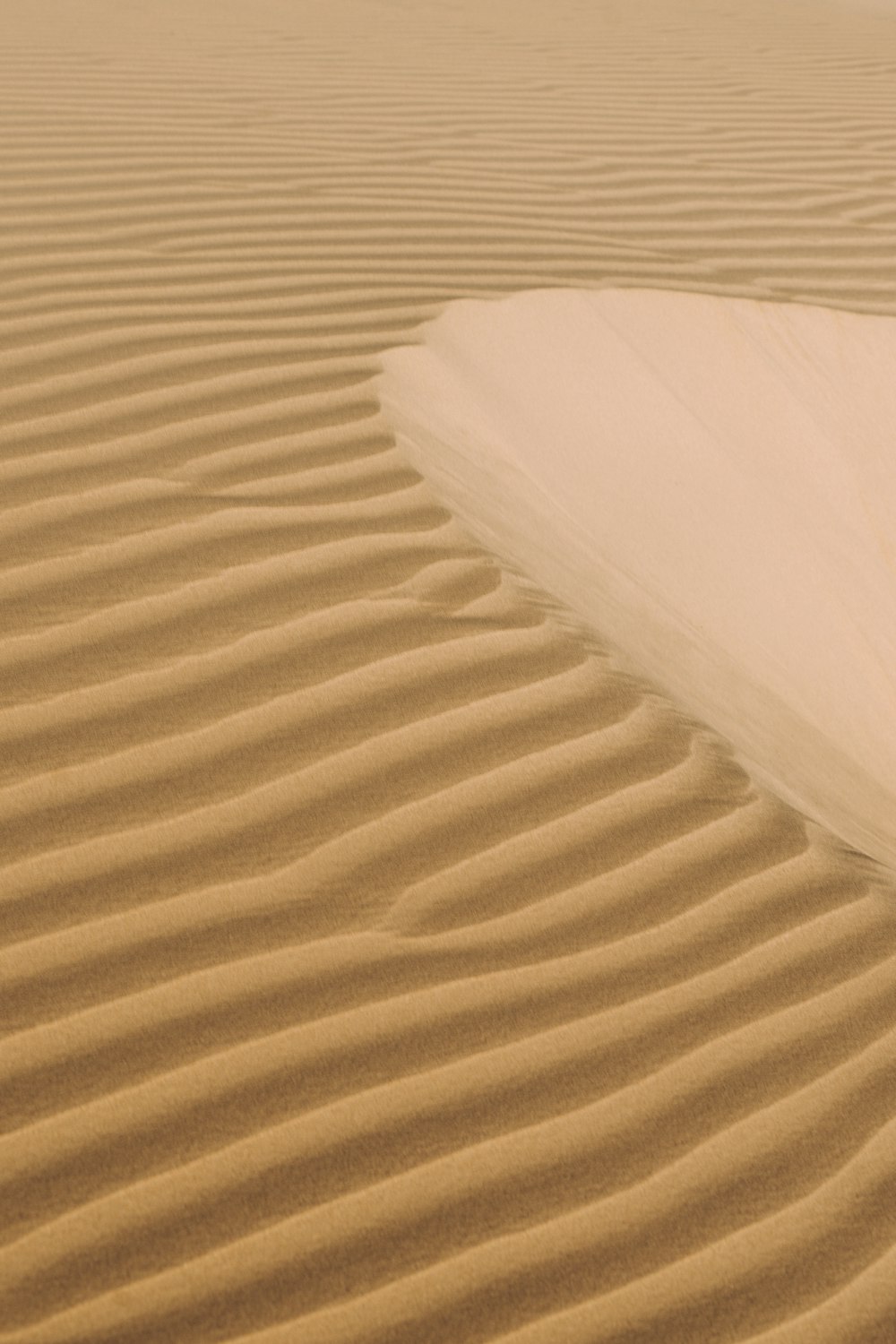white textile on brown sand