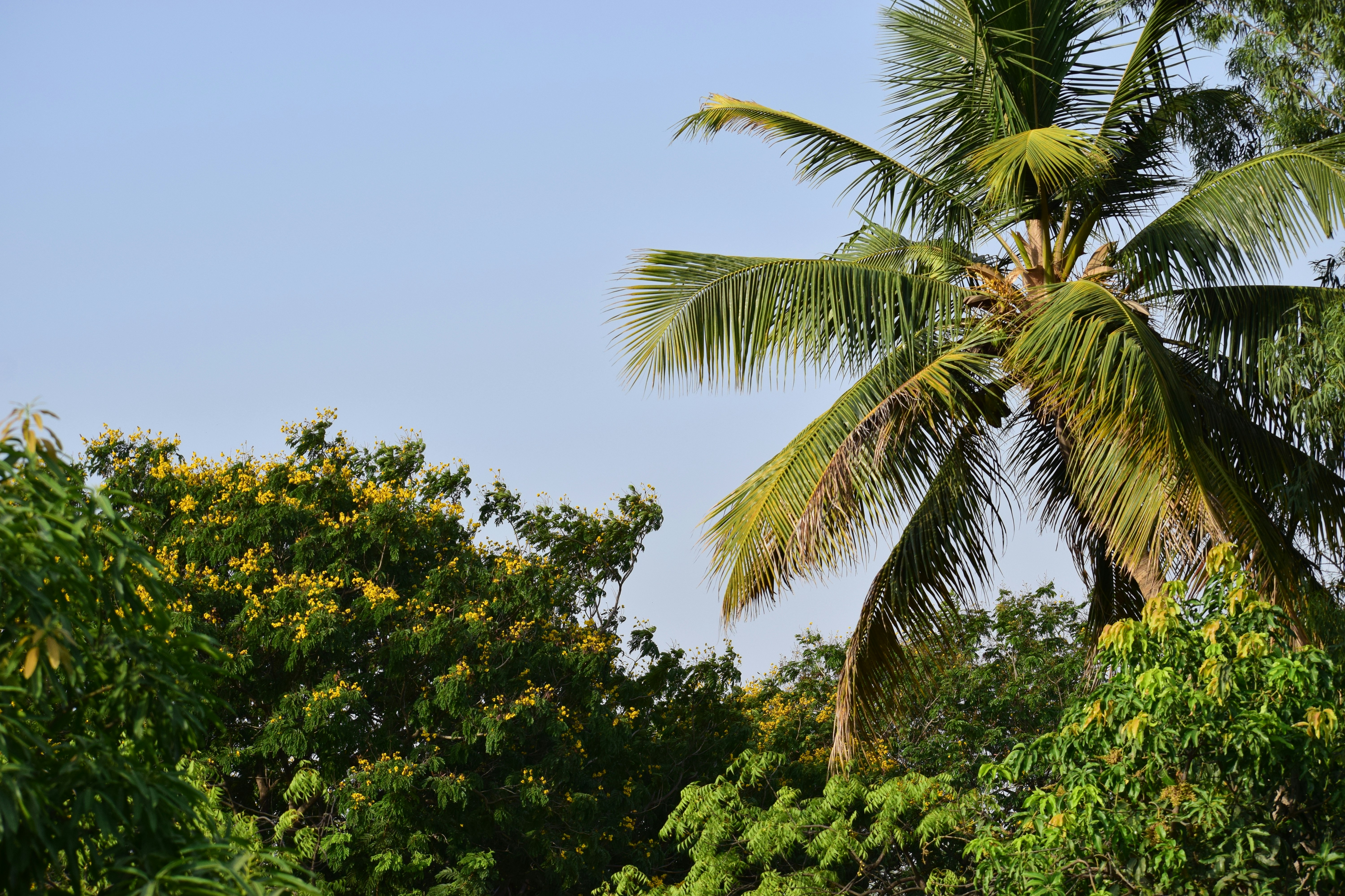 Photo by rachitghate