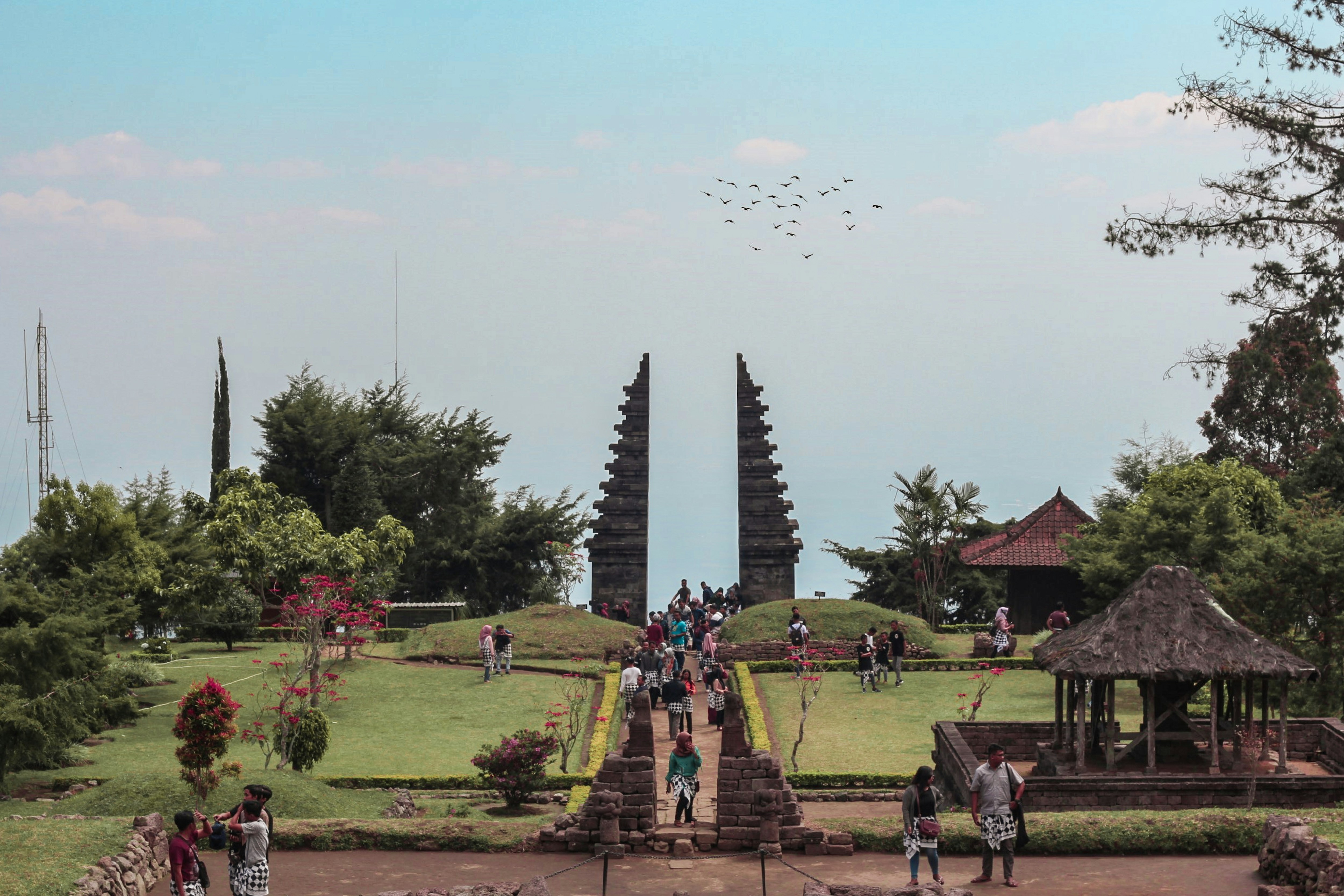 Personas caminando en un campo de hierba verde cerca de árboles verdes durante el día