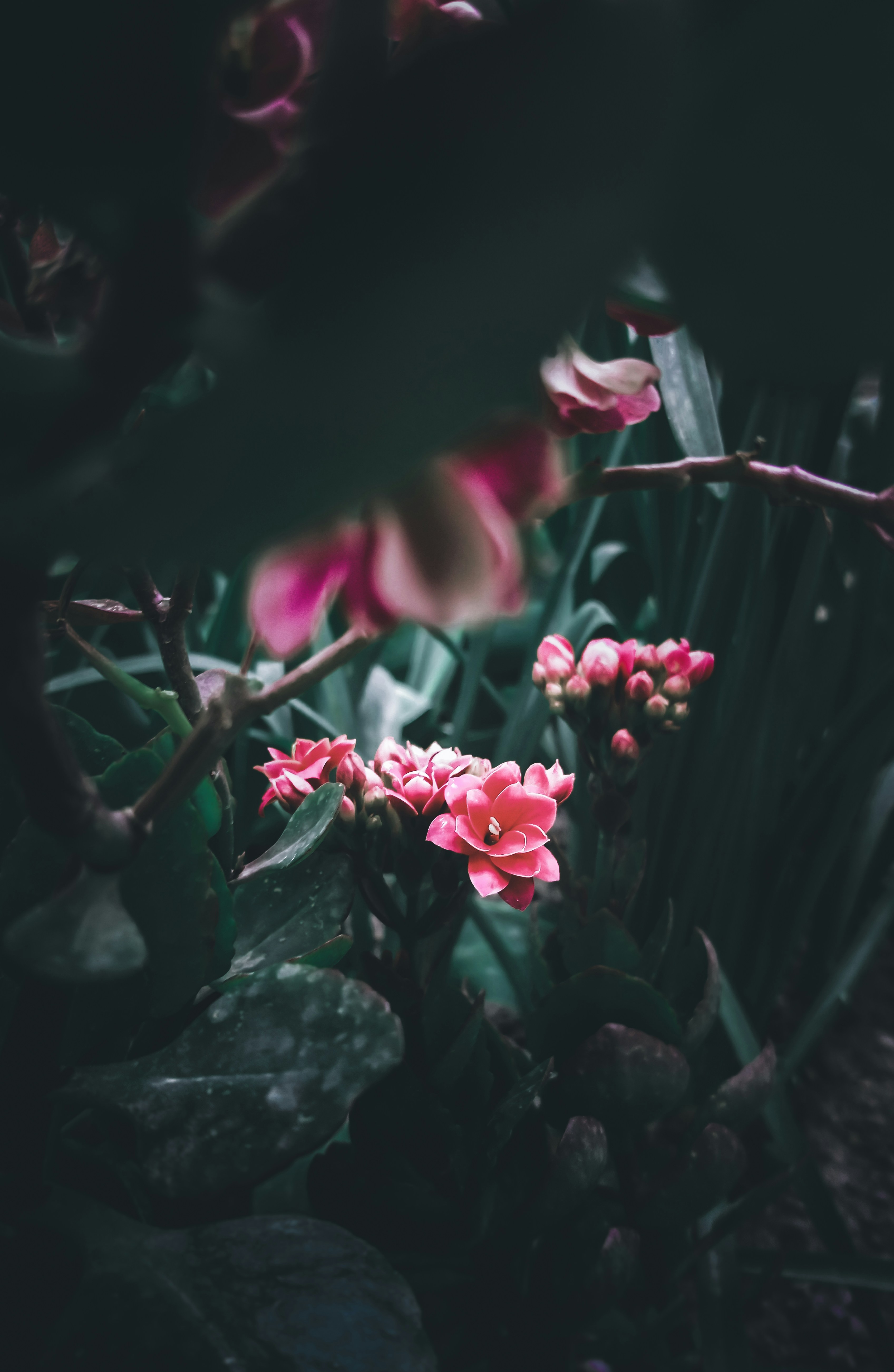 Photo by milanireza