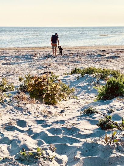 A beach scene with a man and a child walking hand-in-hand towards the ocean. The sandy foreground has scattered green plants, and the sea is calm under a clear sky.