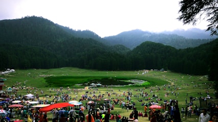 Mopin Festival: The Vibrant Harvest Celebration of Arunachal Pradesh