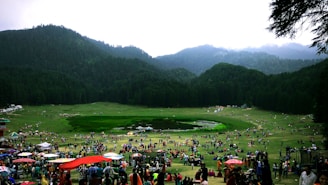 people on green grass field during daytime