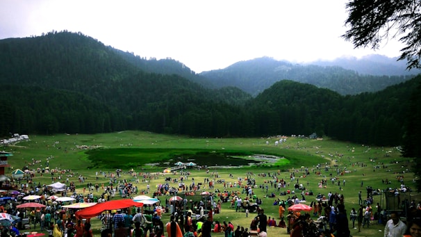 people on green grass field during daytime