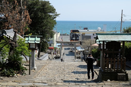 people walking on sidewalk near body of water during daytime in Tokugawa Shrine Japan