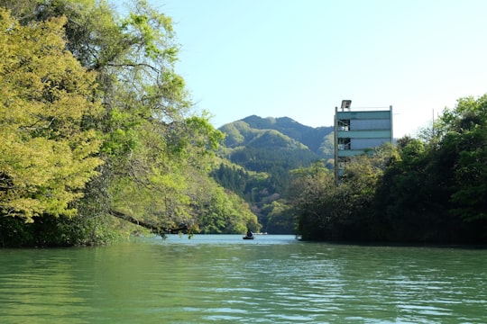 green trees near body of water during daytime in Saitama Japan