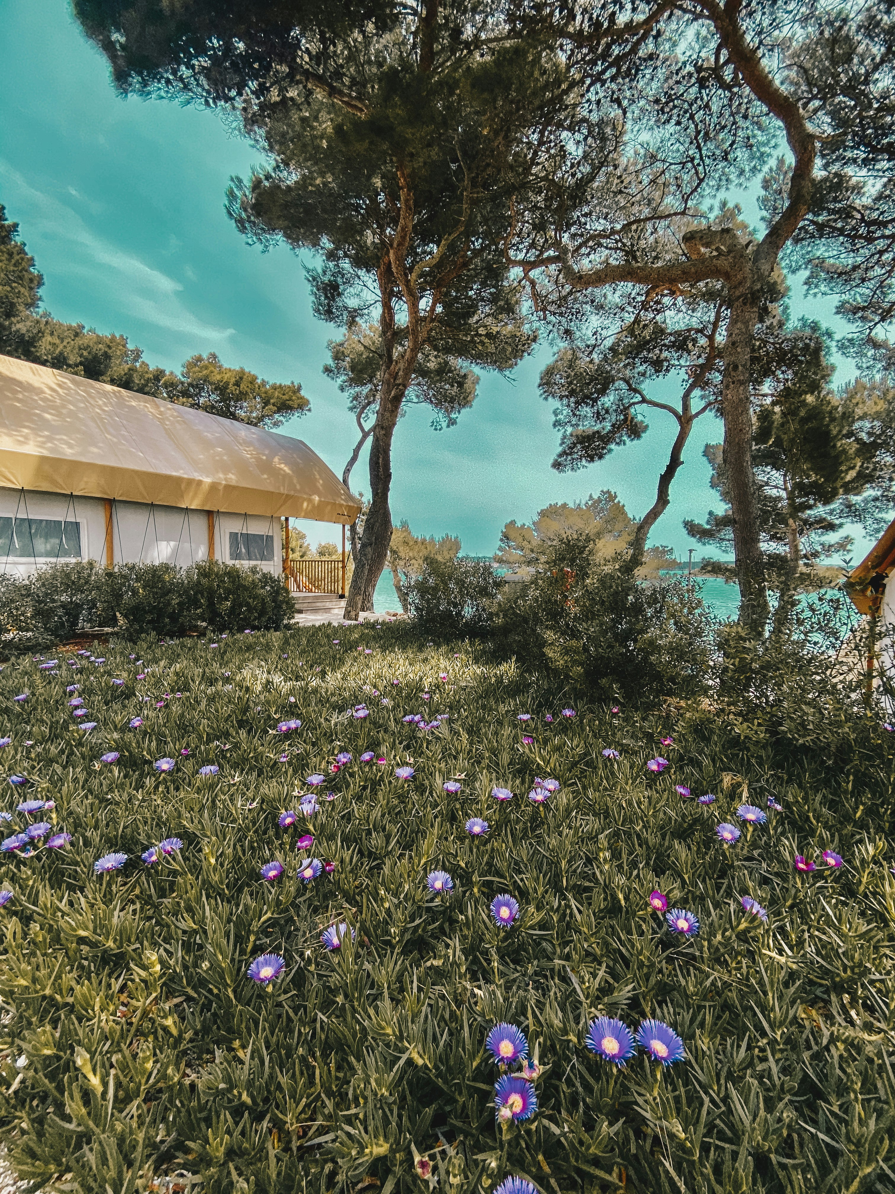 Luxury glamping tent on lakeside at dawn, warm morning glow, peaceful lake view
