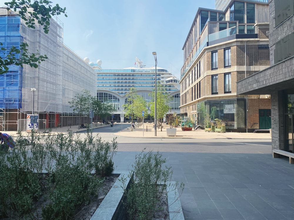 green trees near brown concrete building during daytime