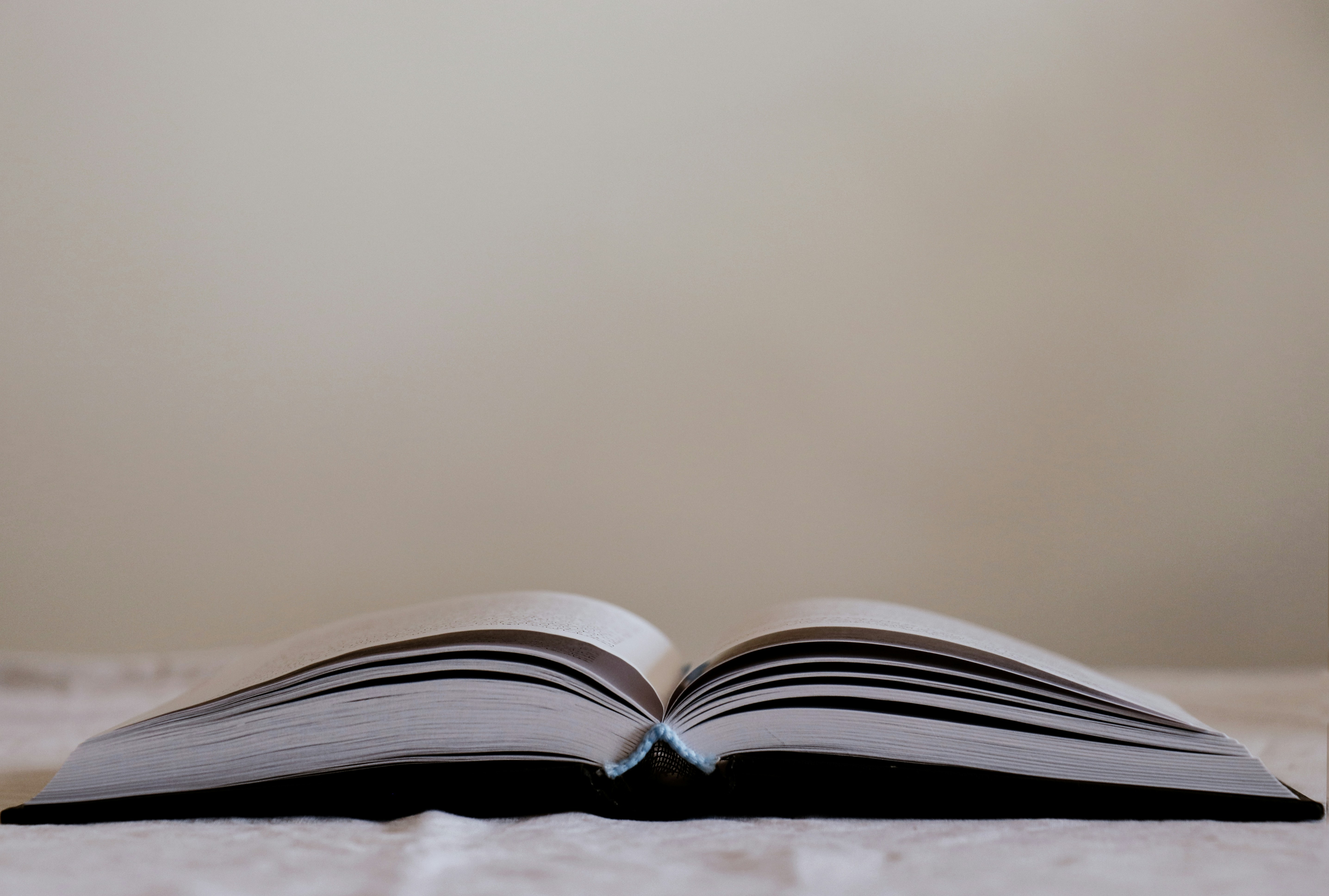 Photo by soniajahandari