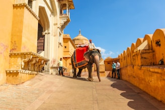 man riding elephant near brown concrete building during daytime