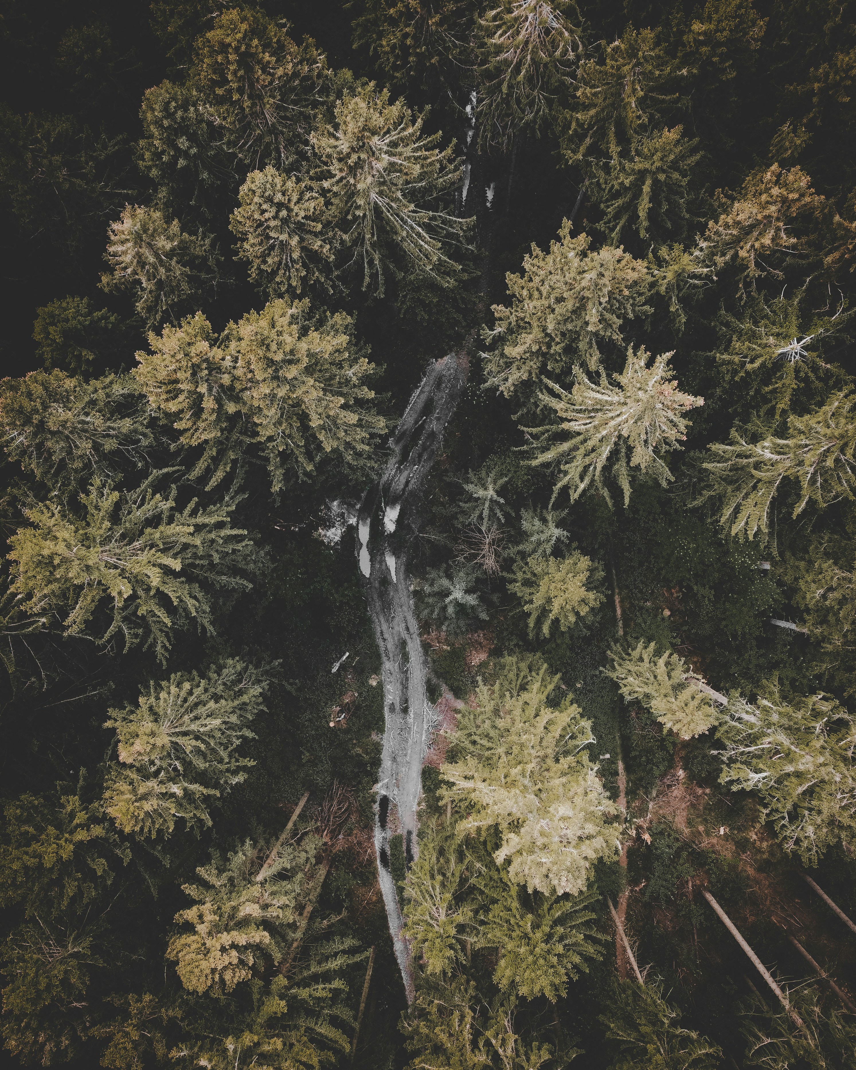 Photo by justusmenke