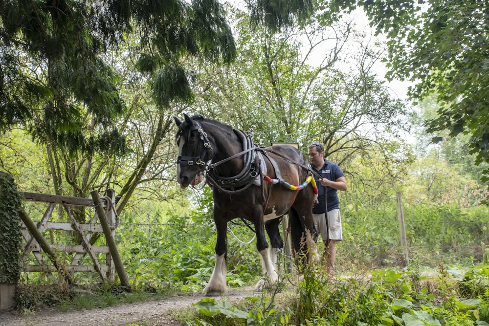 man in blue jacket riding black horse during daytime