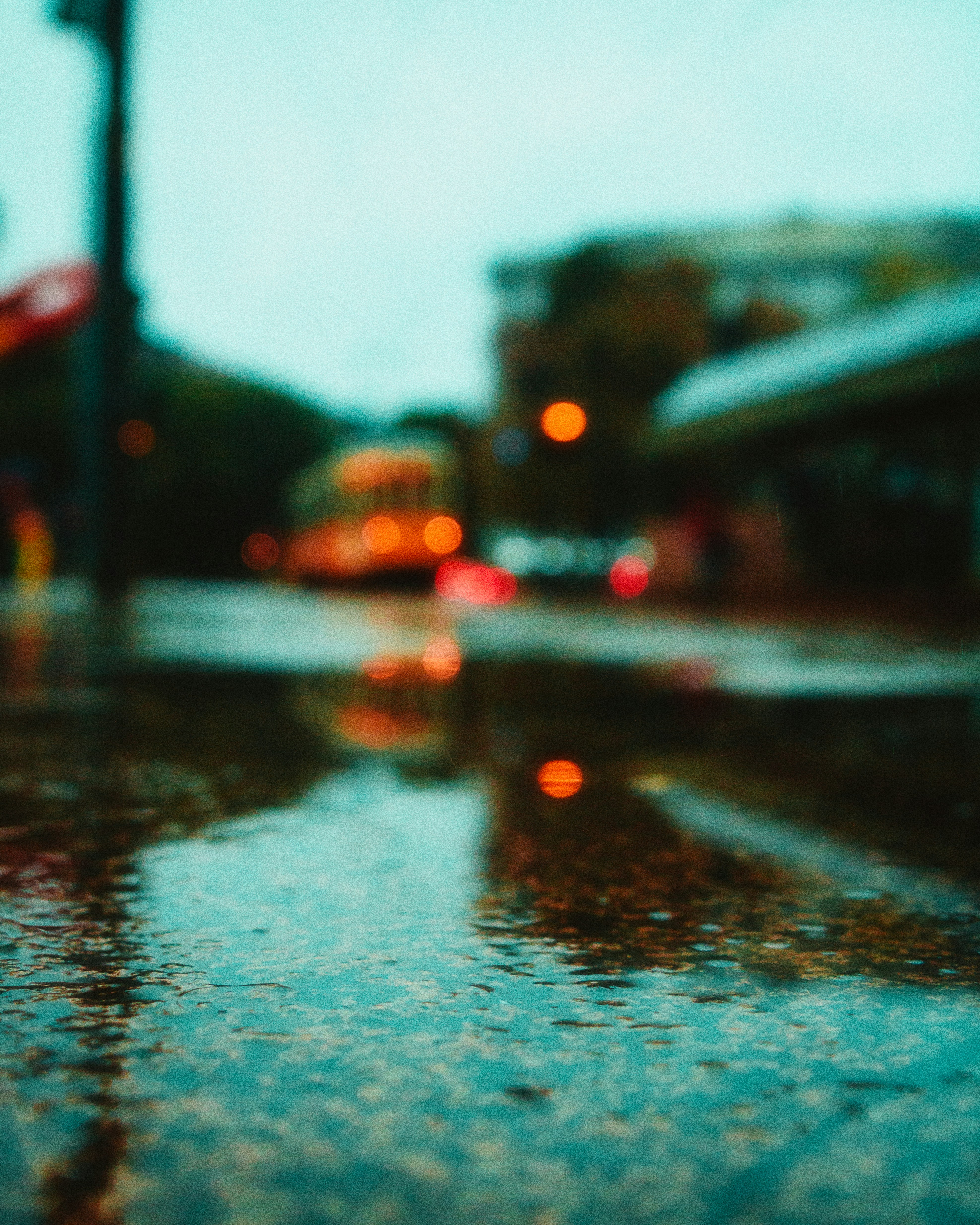 Photo by andreaferrario