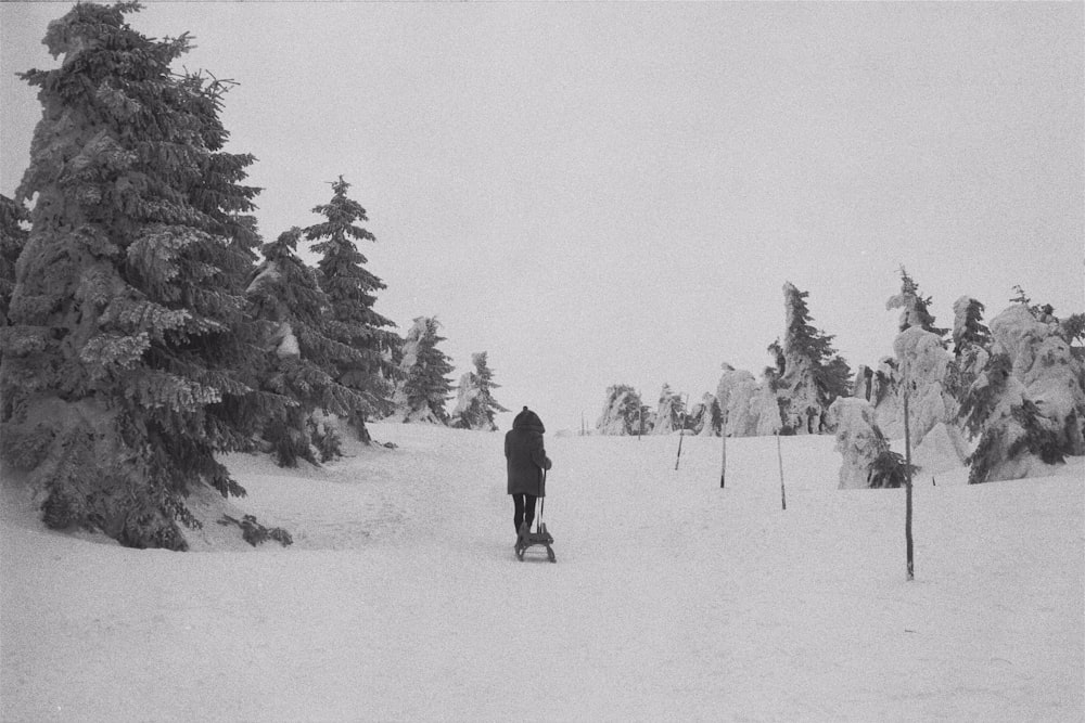 2 person walking on snow covered ground near trees during daytime