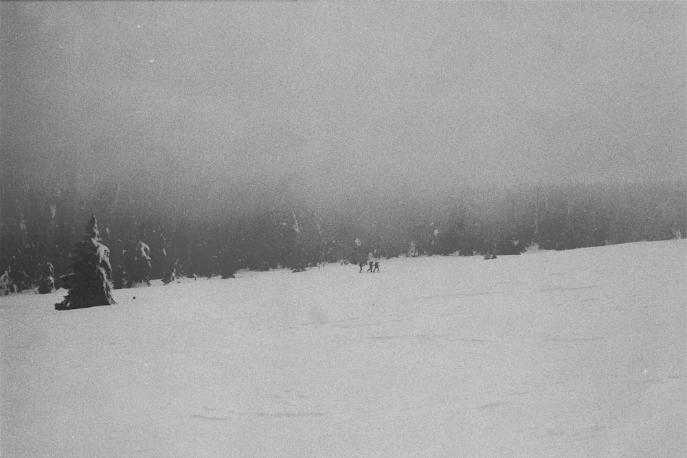 snow covered field during daytime