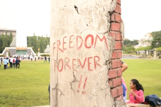 A concrete pillar with the words 'FREEDOM FOREVER!!' written in red graffiti. The pillar is weathered, with visible cracks and exposed reddish bricks. In the background, a group of people is gathered on a green lawn, with trees and a building visible.