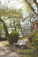 A peaceful park bench under blooming trees, symbolizing a break from routine