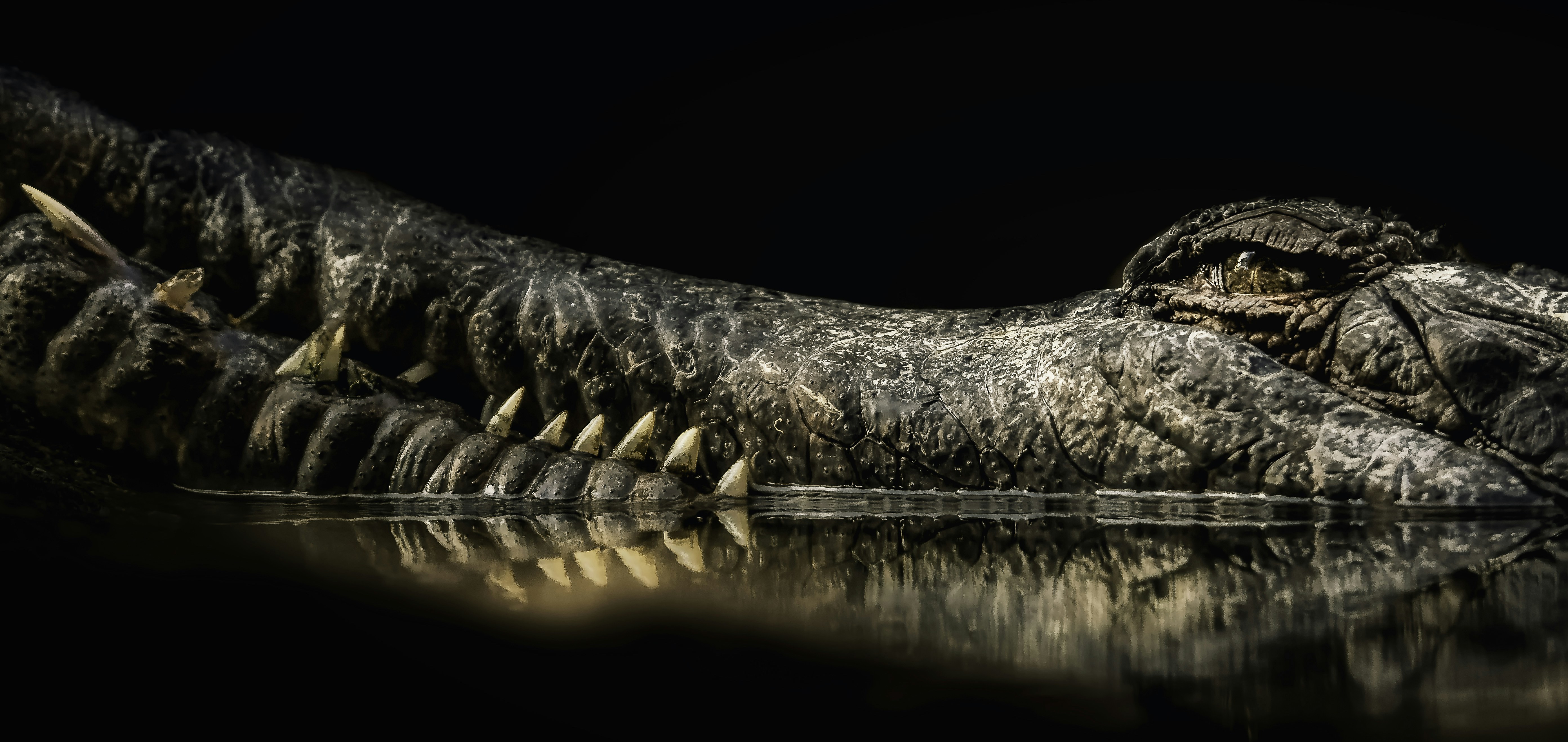 Photo by domincamina