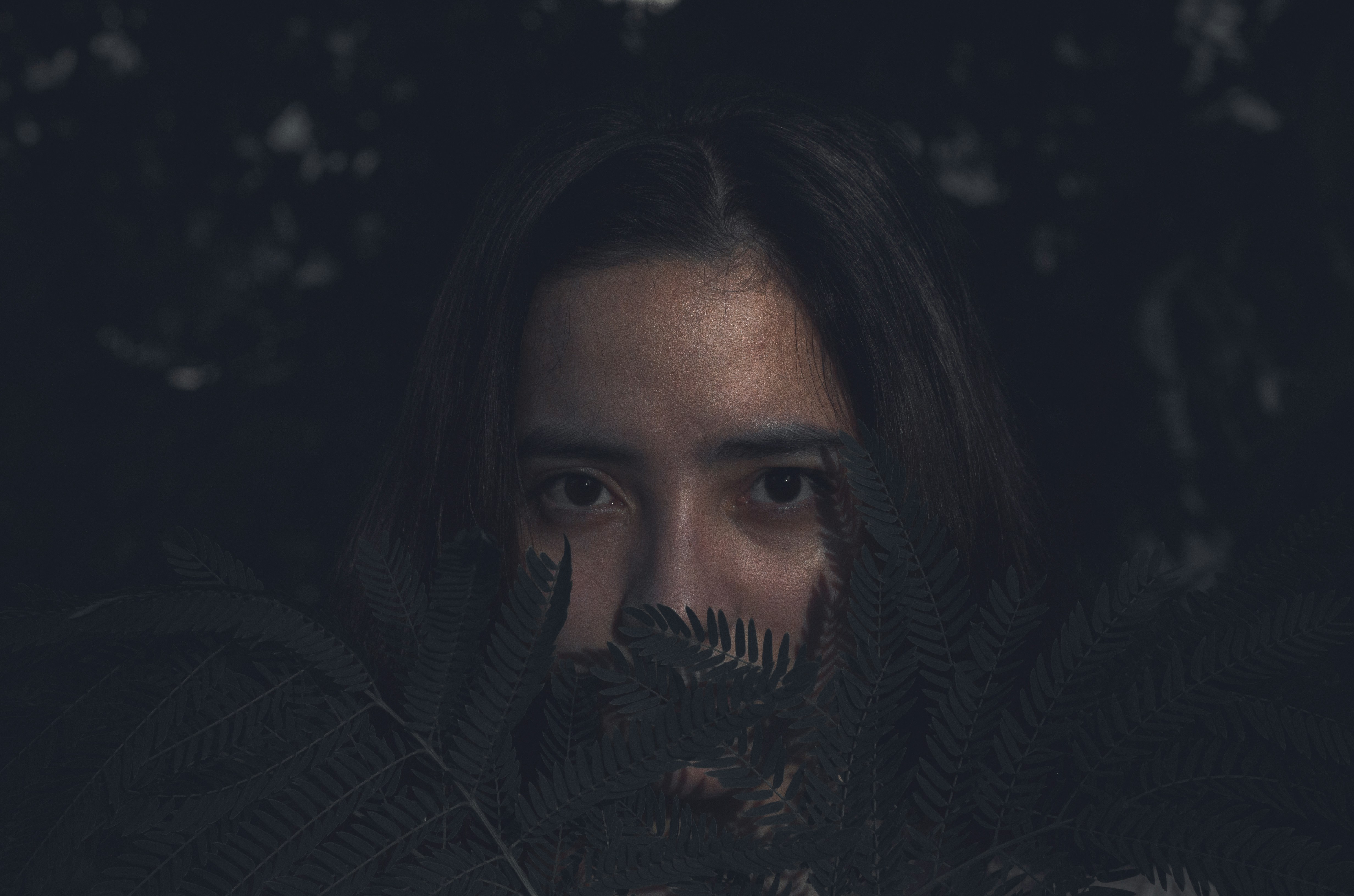 Entity-Based SEO + AEO: Mapping Entities to Brand Stories for AI Answers