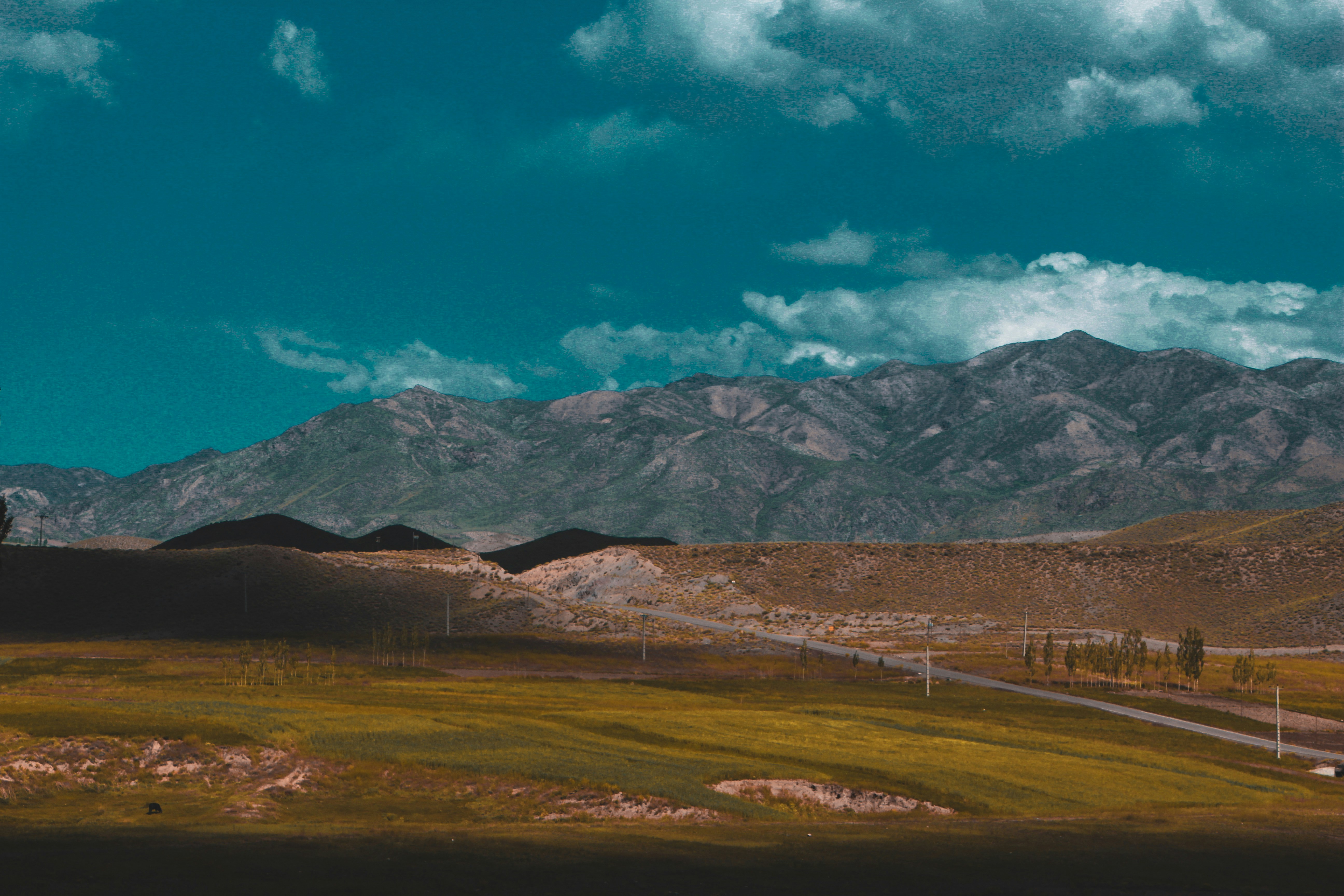 Photo by aminmehrabi