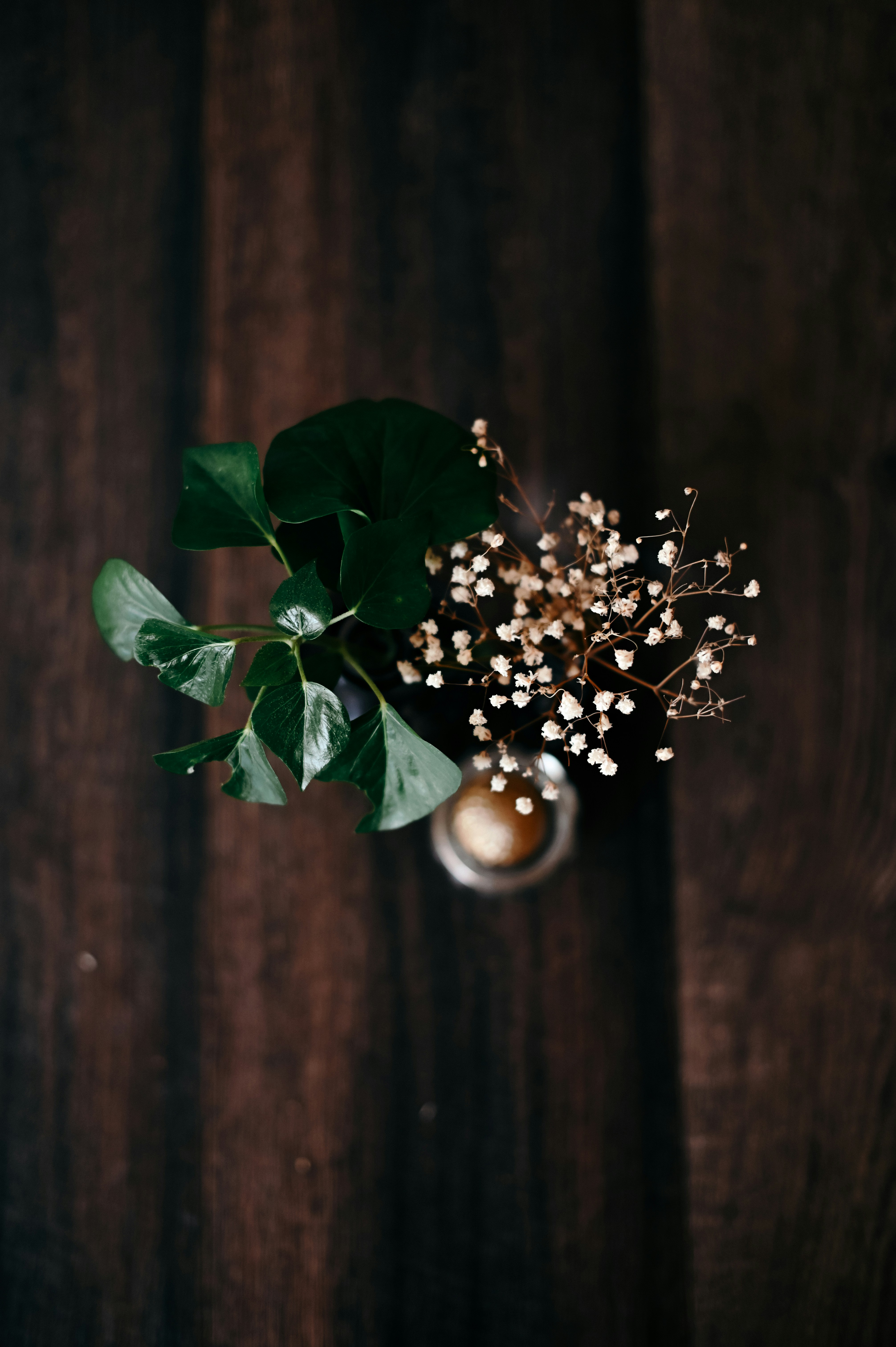 Photo by gaellemarcel