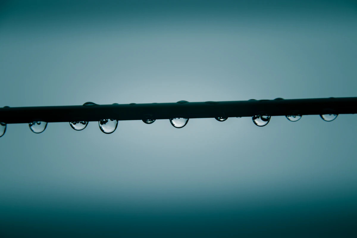 Close-up of drip emitter releasing water onto plant roots