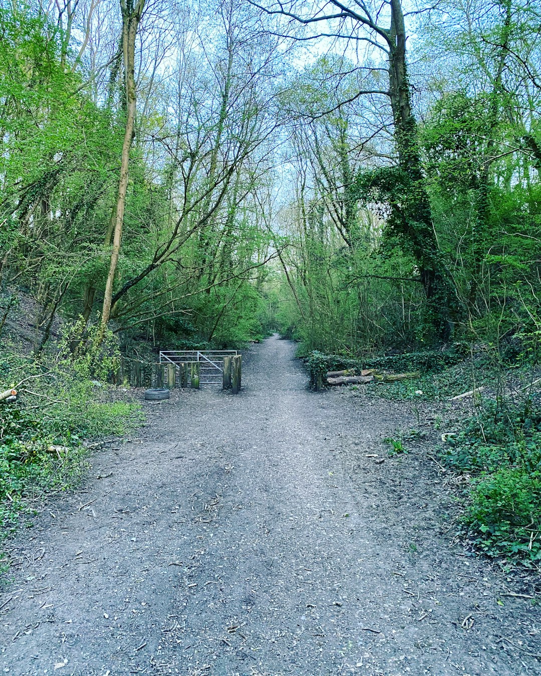 Forest photo spot 15 The Copse Southampton