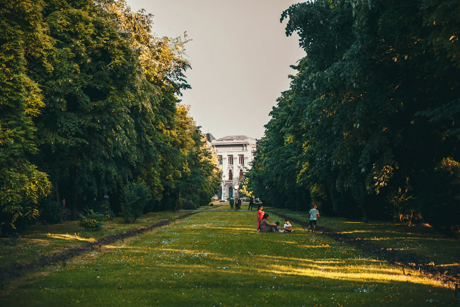 Cișmigiu