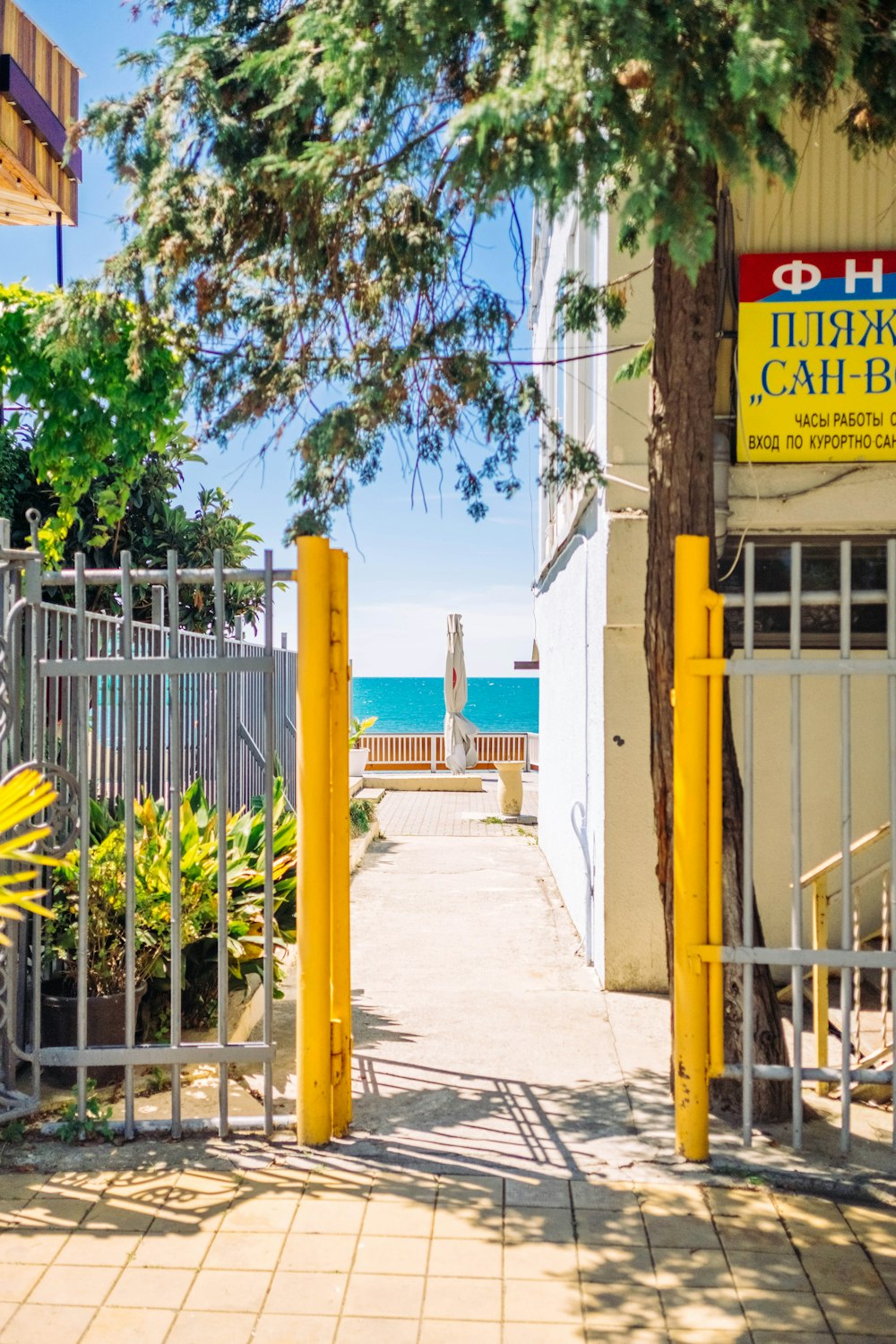 yellow metal fence near green trees during daytime