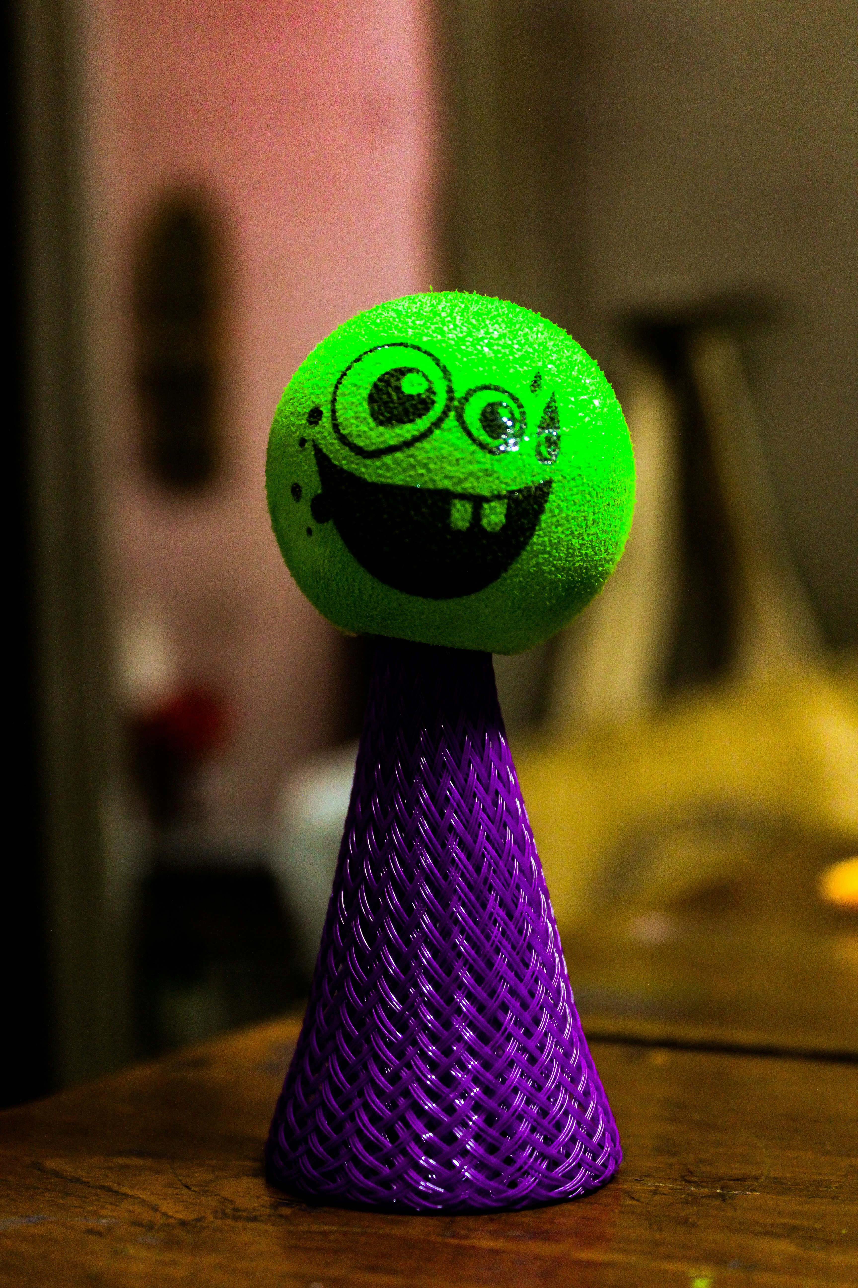 Endless Fun Toy Collection