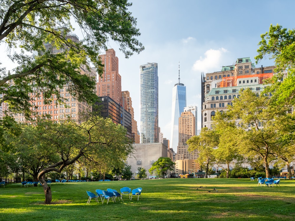 green grass field with trees and high rise buildings in distance