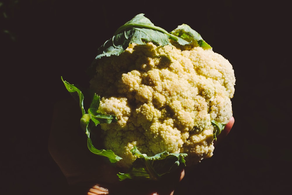 Persona sosteniendo brócoli blanco y verde