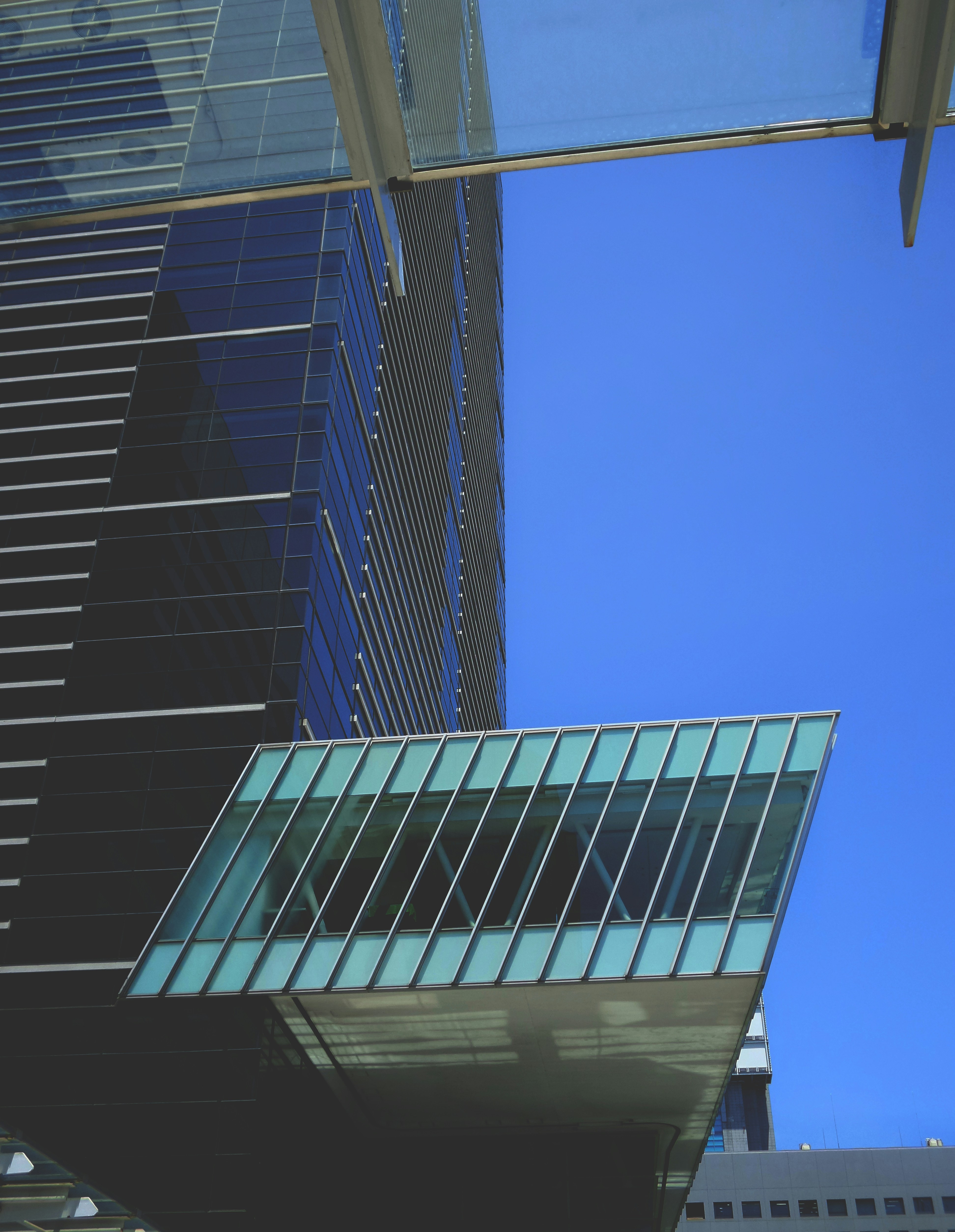 Photo by possessedphotography