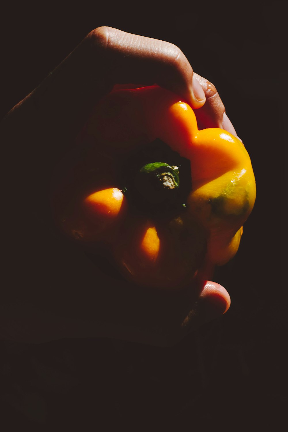 person holding yellow bell pepper