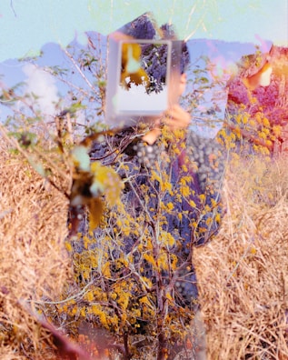 A surreal double exposure photograph combining layers of a person's silhouette in a patterned outfit with a natural landscape of trees and dry grass. The person holds a mirror reflecting more vegetation, creating a blend of human form and nature.