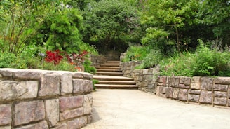 A serene garden pathway lined with lush greenery and decorative stones.