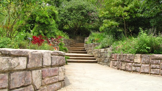 A serene garden pathway lined with lush greenery and subtle slate grey accents.