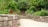 A serene garden with lush greenery and a stone pathway.