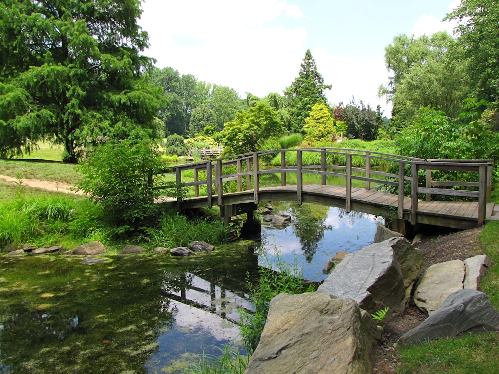 green wooden bridge over river