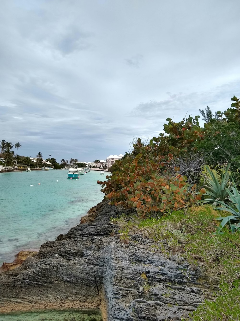 a body of water surrounded by a lush green hillside