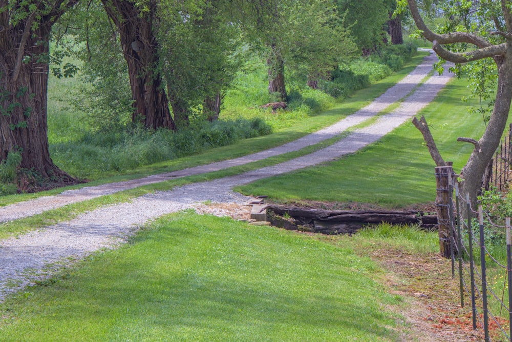 green grass field with trees