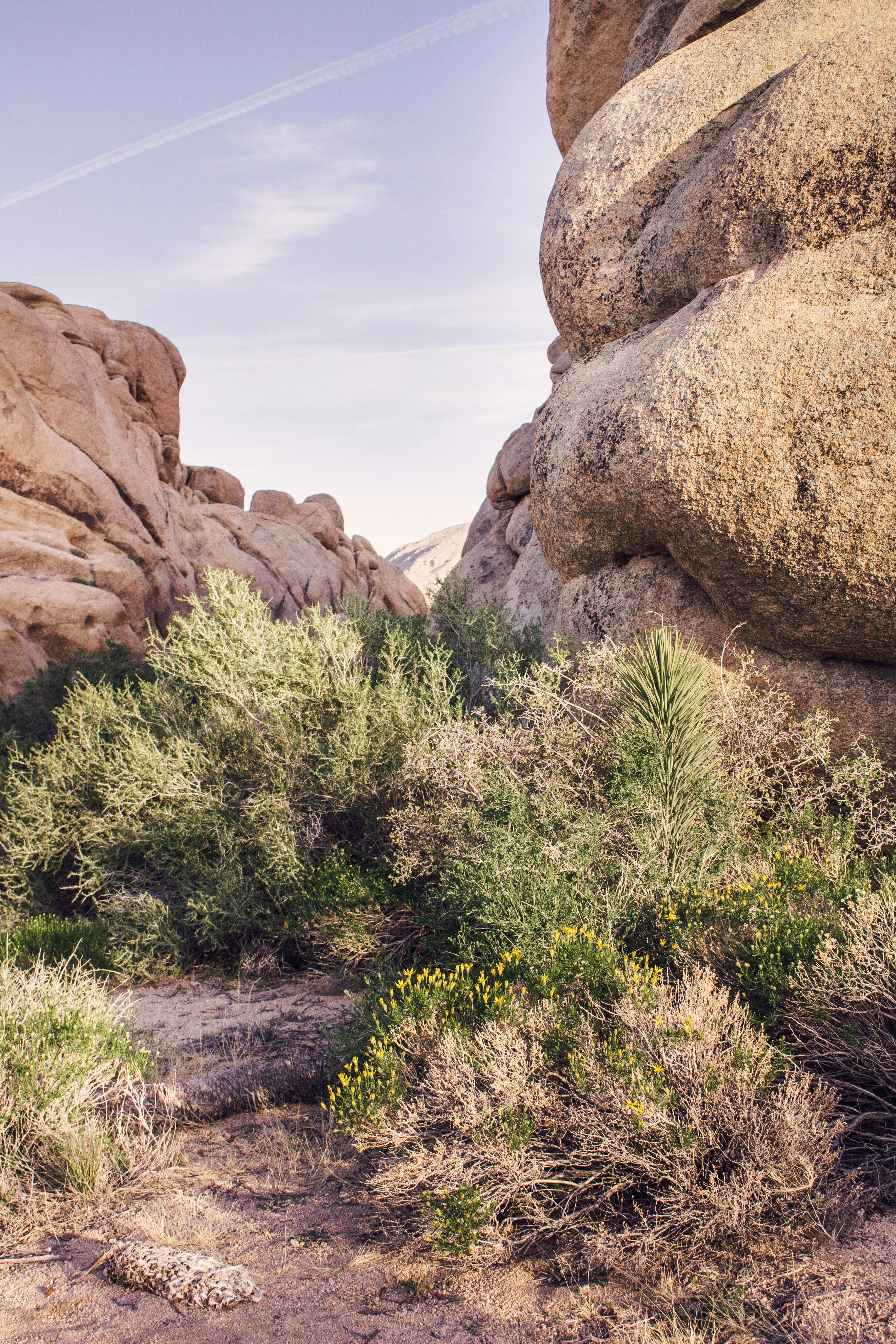 Photo by lydiakphotography