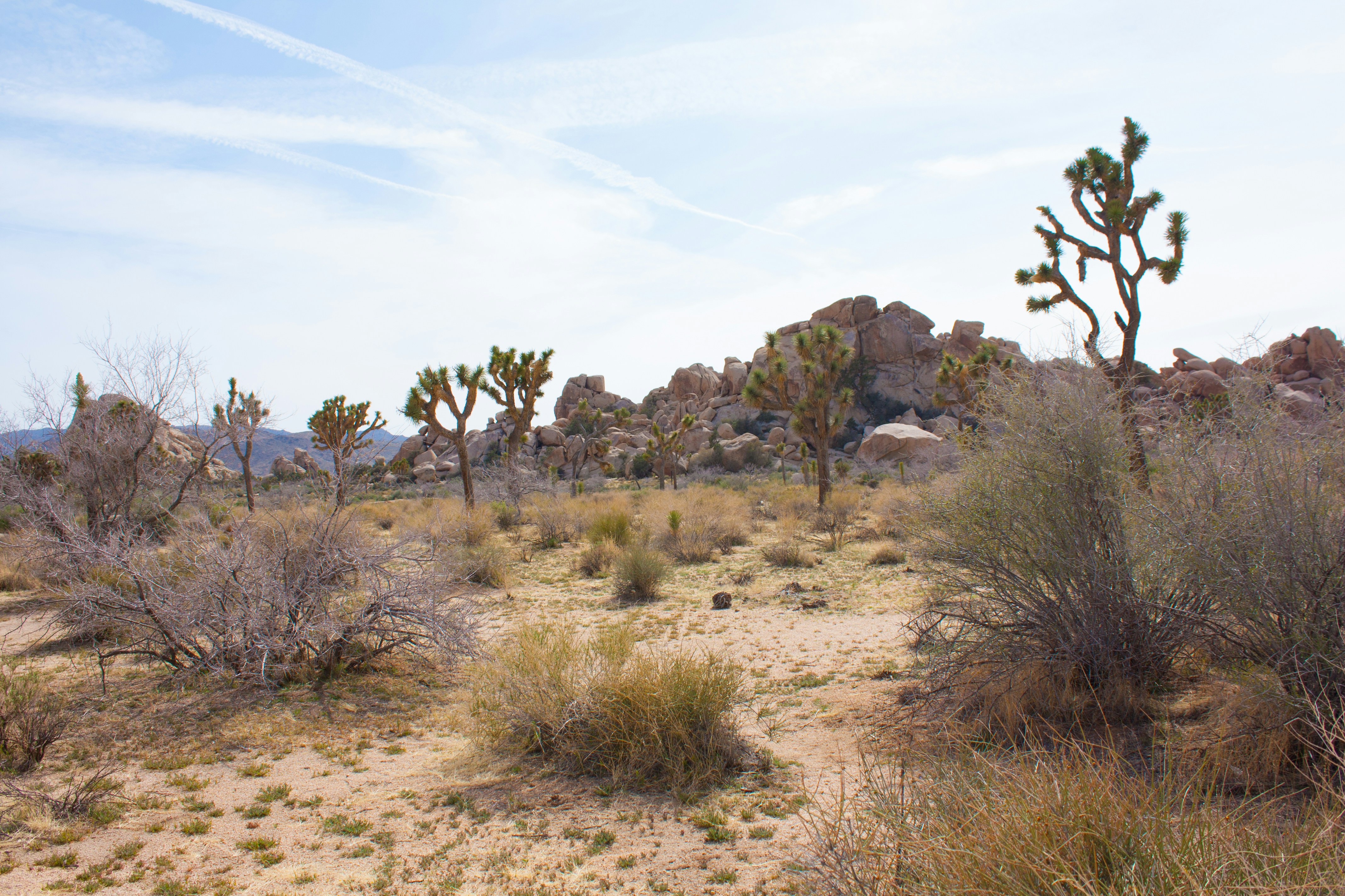 Photo by lydiakphotography