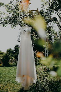 white dress on green grass field during daytime