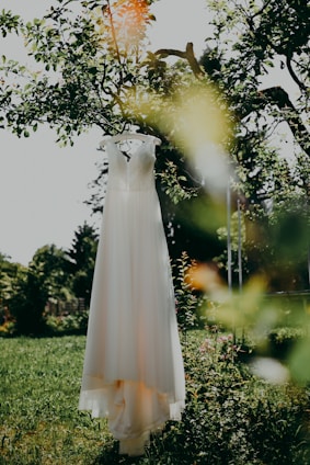 white dress on green grass field during daytime