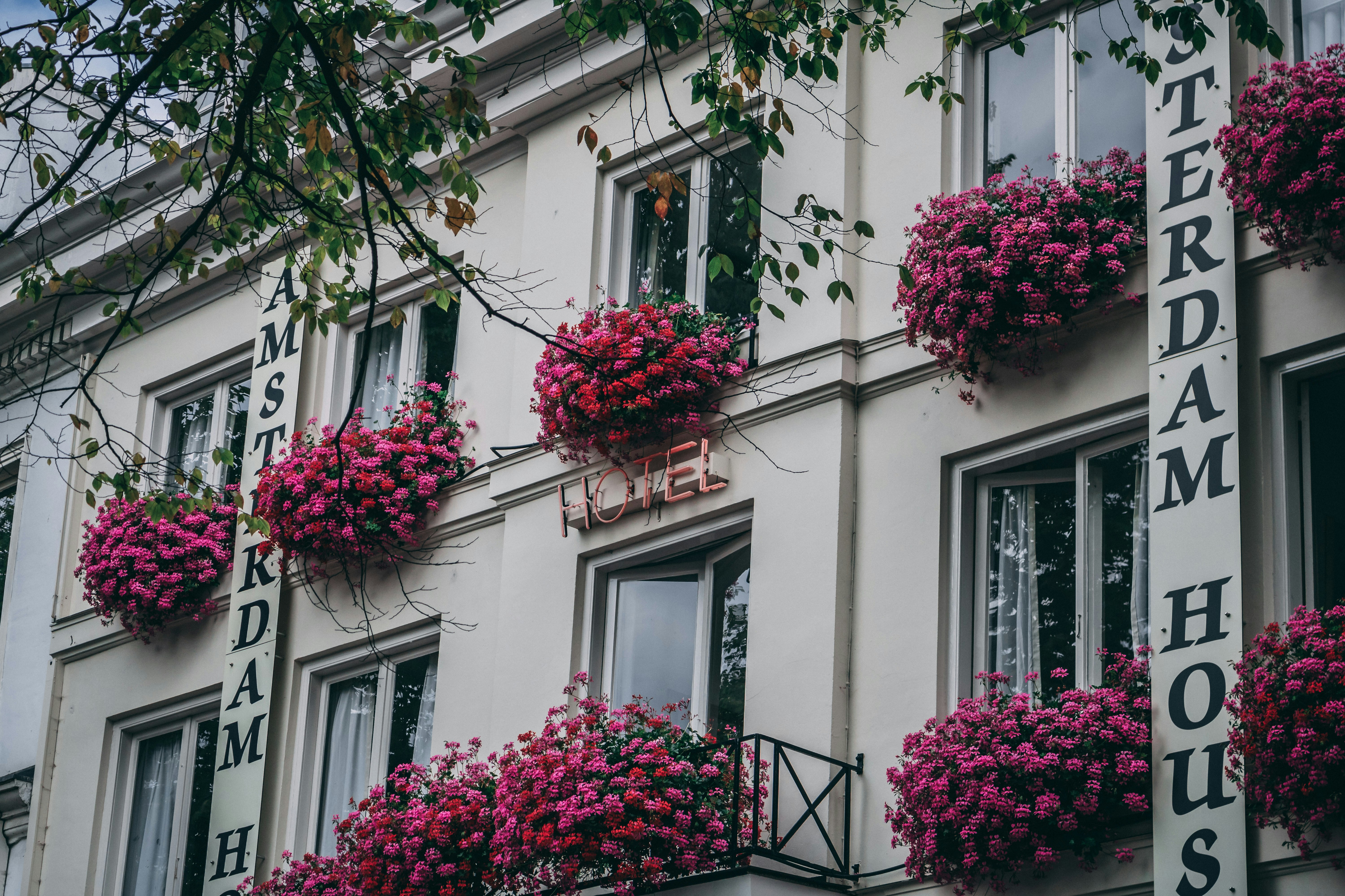 Photo by hunterrtomi